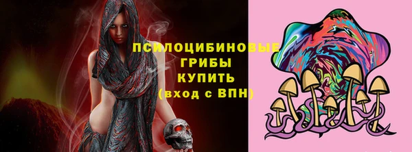 mdpv Козловка