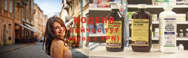 прущие грибы Кирсанов