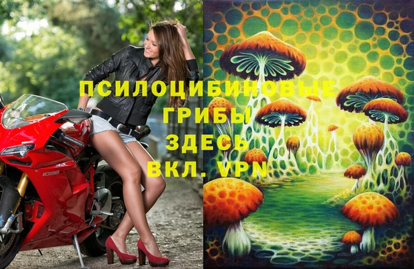 mdpv Козловка