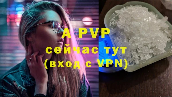 Альфа ПВП Козельск