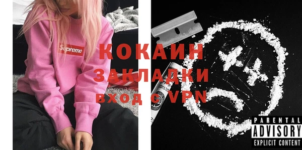 прущие грибы Кирсанов