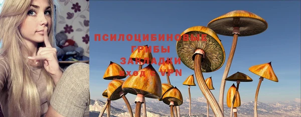 mdpv Козловка