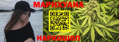 гидра Заводоуковск