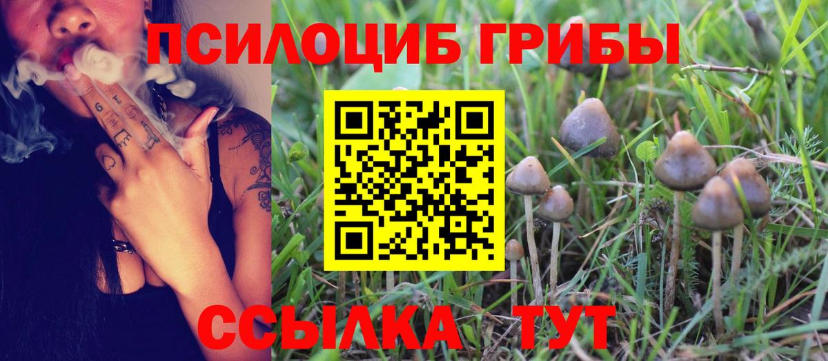 где можно купить наркотик  Псилоцибиновые грибы MAGIC MUSHROOMS  Вход с VPN  Псилоцибиновые грибы MAGIC MUSHROOMS  Малгобек 