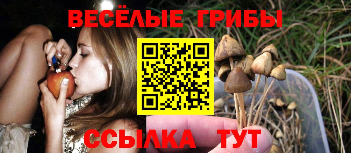 Галлюциногенные грибы прущие грибы Малгобек