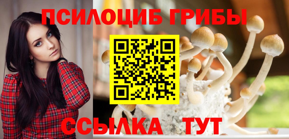 Галлюциногенные грибы GOLDEN TEACHER Малгобек