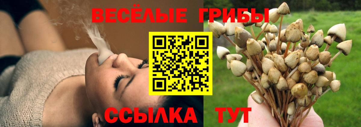 купить закладку  Малгобек  Галлюциногенные грибы прущие грибы 
